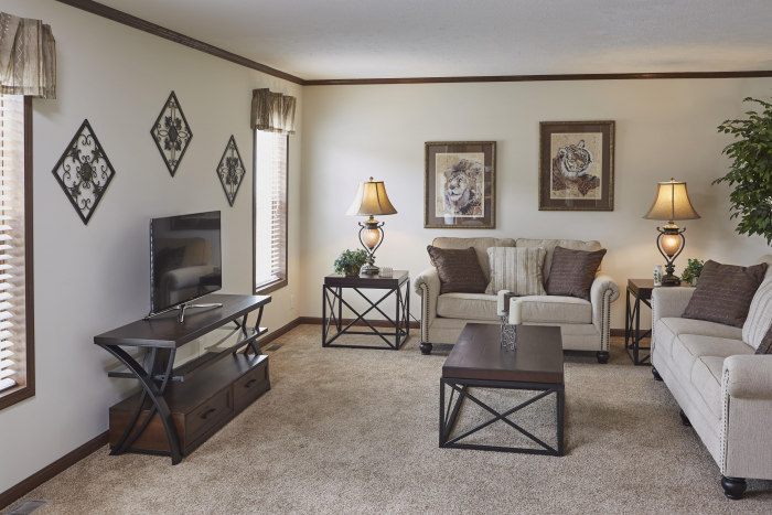 Living room with windows and beige carpet in Montclair model
